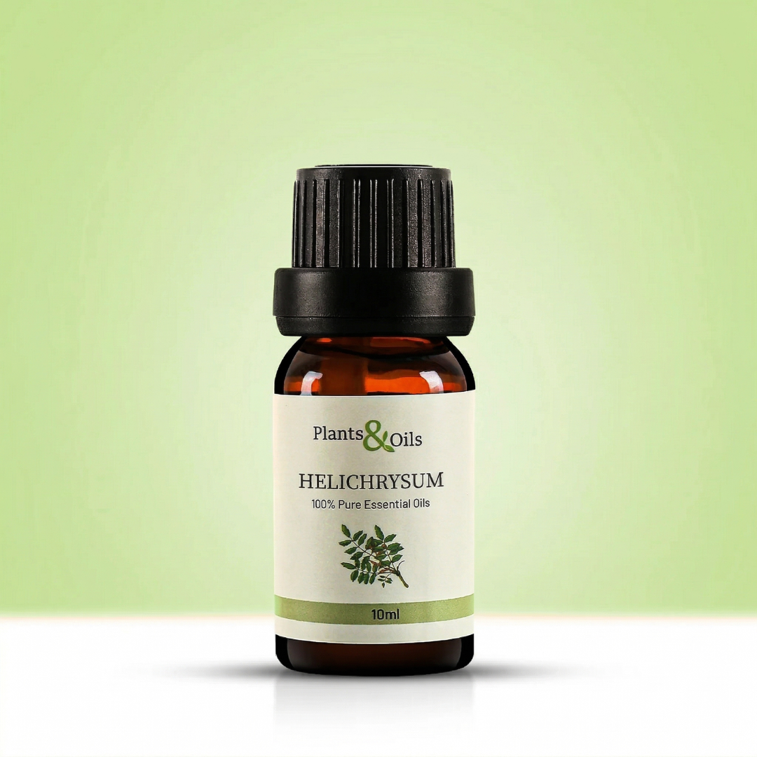 Helichrysum