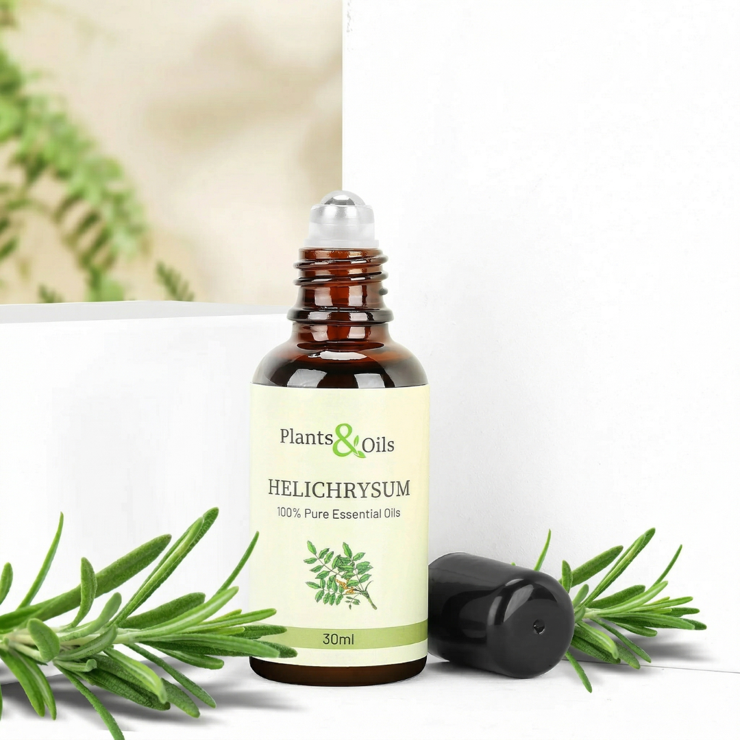 Helichrysum