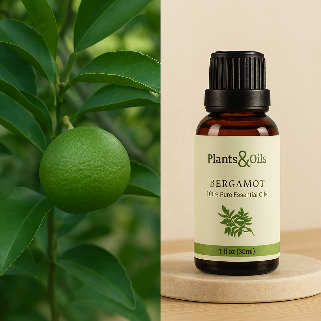 Bergamot Oil
