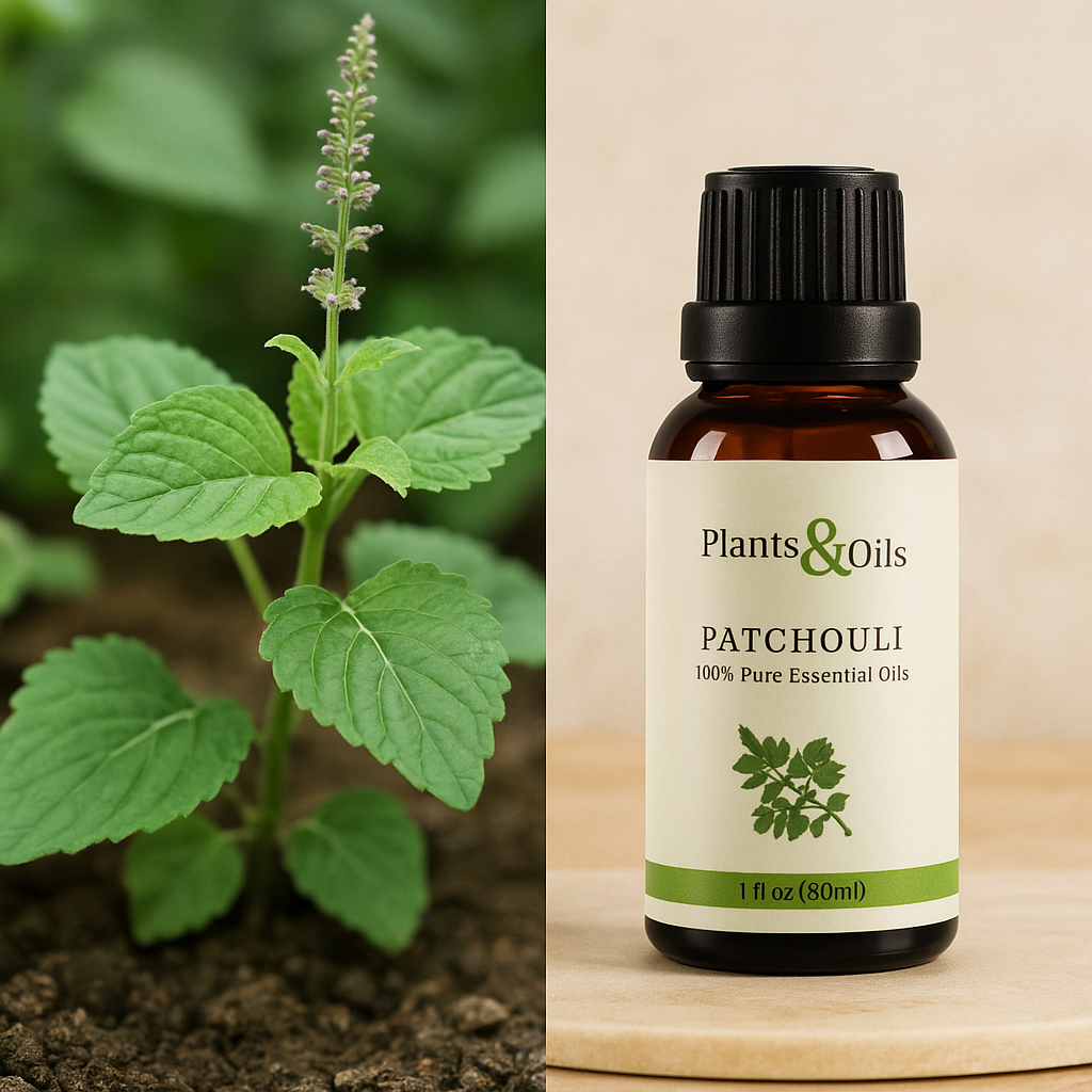 Patchouli Oil