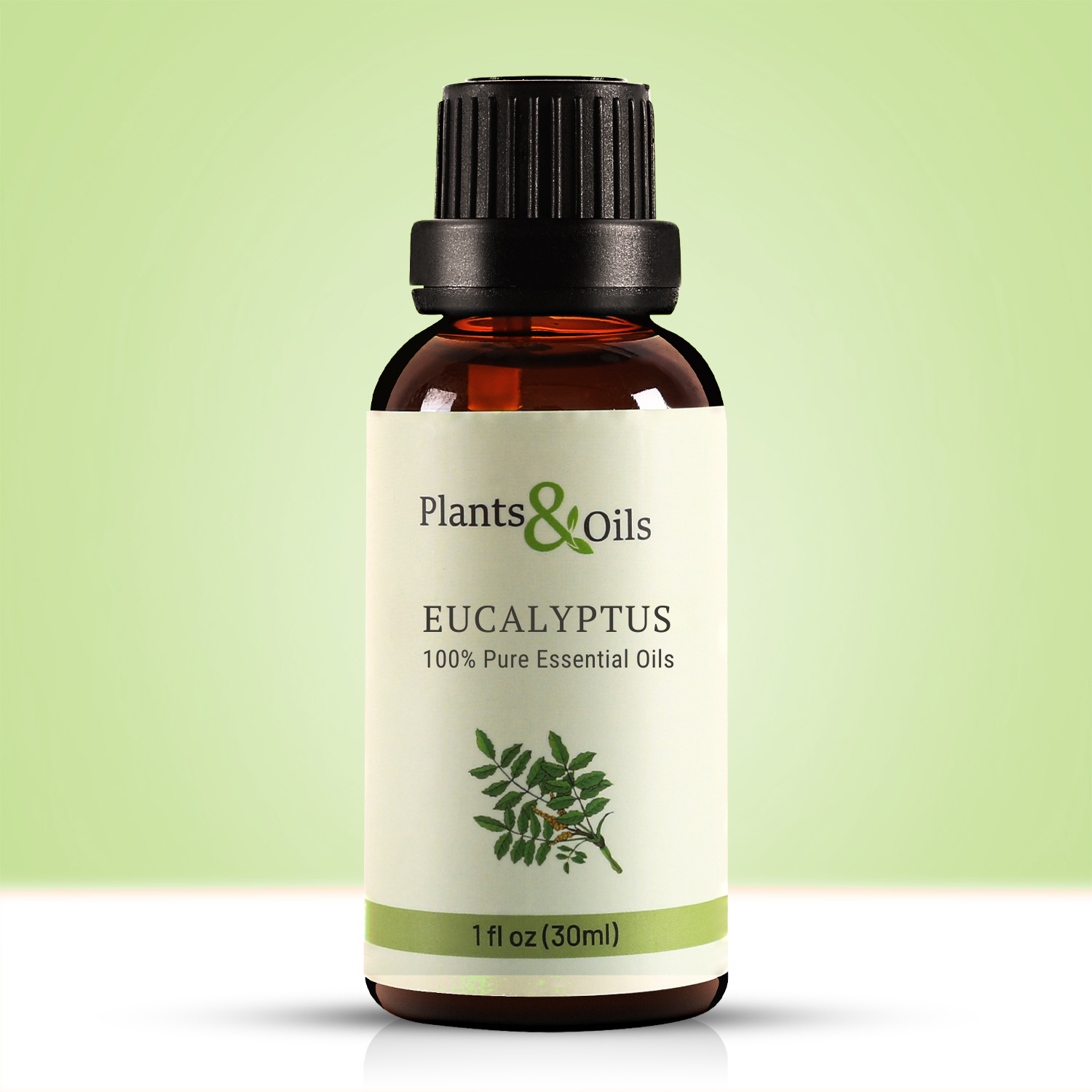 Eucalyptus Oil